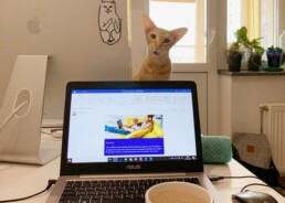 Levi9 is pet friendly! Home office at its finest.